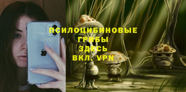 кокс Аркадак