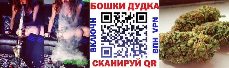 где продают Арсеньев Канабис сатива